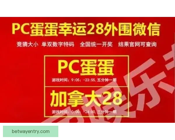 世界杯赛事全攻略与精准竞猜投注技巧全面解析